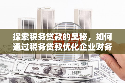 颍泉探索税务贷款的奥秘，如何通过税务贷款优化企业财务