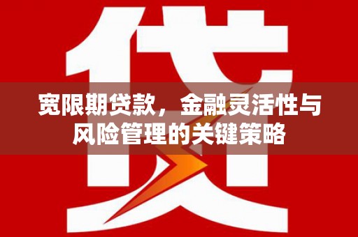 颍泉宽限期贷款，金融灵活性与风险管理的关键策略