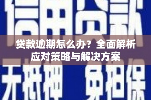 颍泉贷款逾期怎么办？全面解析应对策略与解决方案