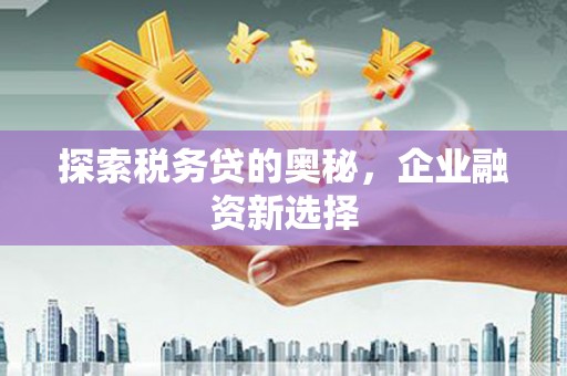 颍泉探索税务贷的奥秘，企业融资新选择