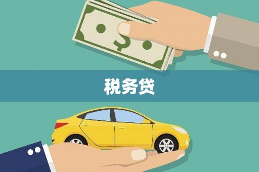 颍泉税务贷