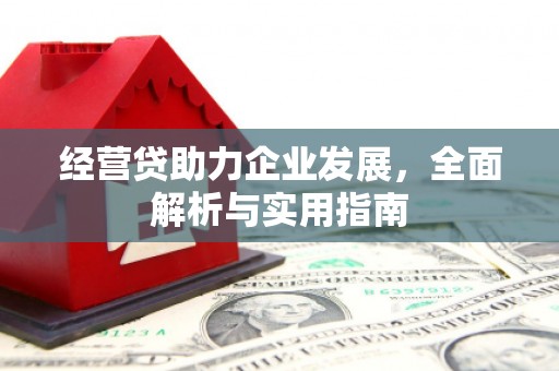 颍泉经营贷助力企业发展，全面解析与实用指南