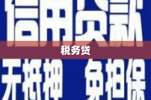 颍泉税务贷