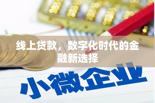 颍泉线上贷款，数字化时代的金融新选择