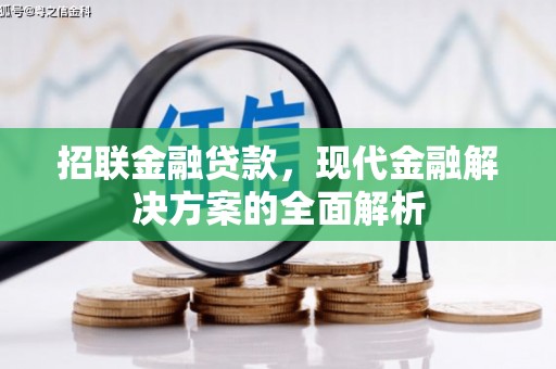 颍泉招联金融贷款，现代金融解决方案的全面解析