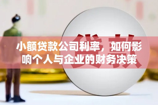 颍泉小额贷款公司利率，如何影响个人与企业的财务决策