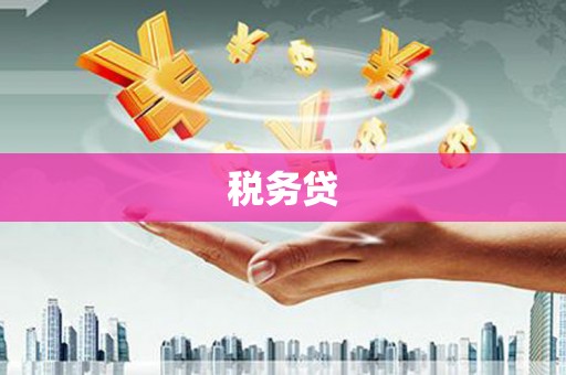 颍泉税务贷