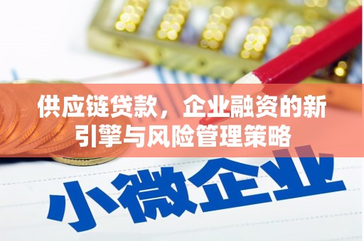 颍泉供应链贷款，企业融资的新引擎与风险管理策略