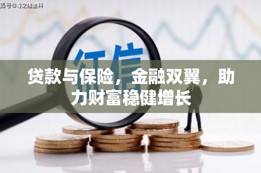 颍泉贷款与保险，金融双翼，助力财富稳健增长