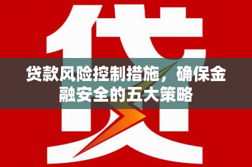 颍泉贷款风险控制措施，确保金融安全的五大策略