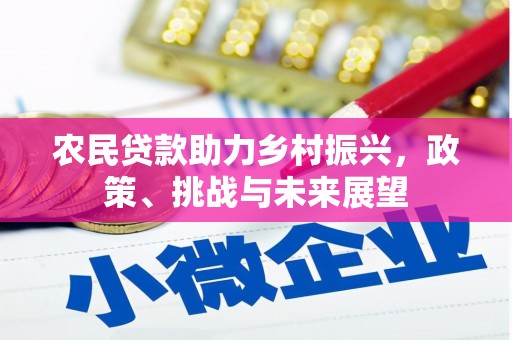 颍泉农民贷款助力乡村振兴，政策、挑战与未来展望