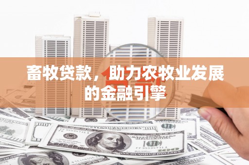 颍泉畜牧贷款，助力农牧业发展的金融引擎