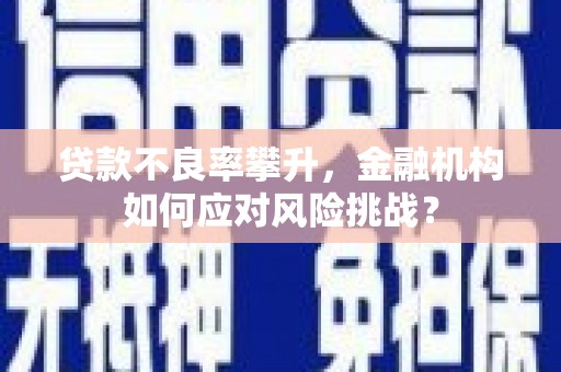 颍泉贷款不良率攀升，金融机构如何应对风险挑战？