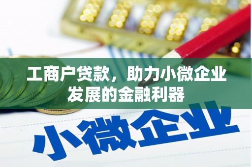 颍泉工商户贷款，助力小微企业发展的金融利器