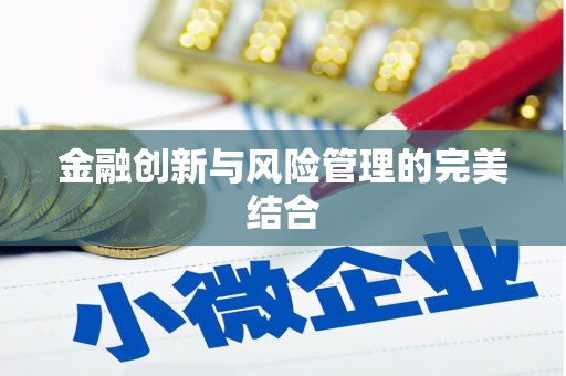颍泉金融创新与风险管理的完美结合