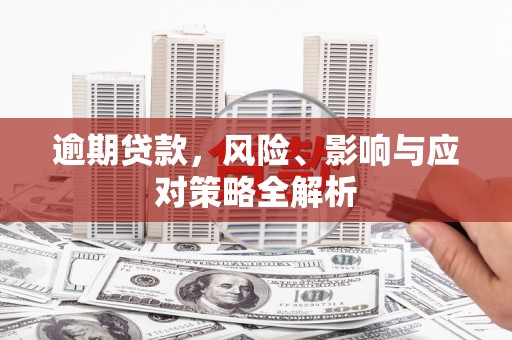 颍泉逾期贷款，风险、影响与应对策略全解析
