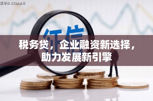 颍泉税务贷，企业融资新选择，助力发展新引擎
