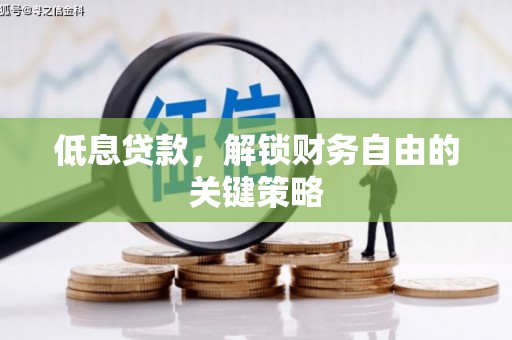 颍泉低息贷款，解锁财务自由的关键策略