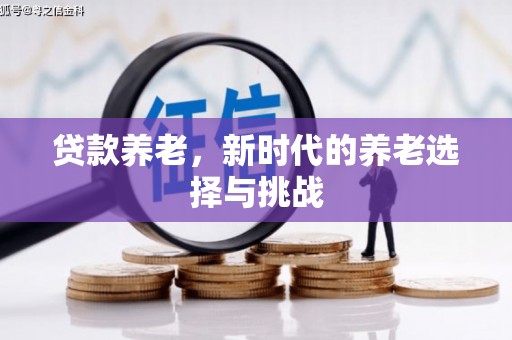 颍泉贷款养老，新时代的养老选择与挑战