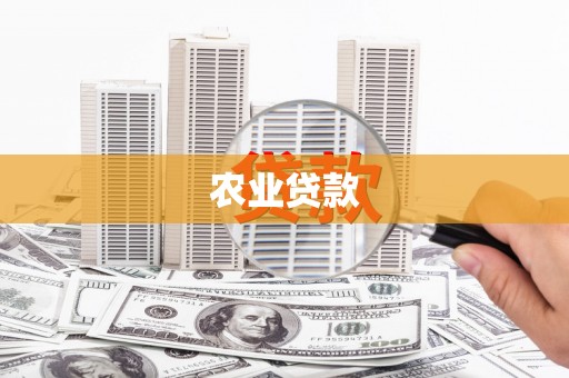颍泉农业贷款