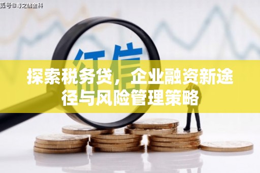 颍泉探索税务贷，企业融资新途径与风险管理策略