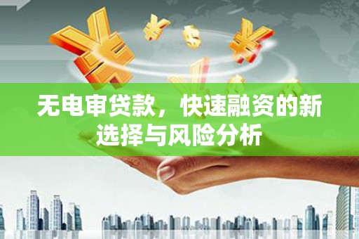 颍泉无电审贷款，快速融资的新选择与风险分析
