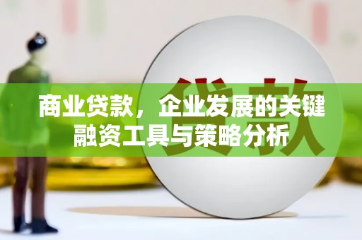 颍泉商业贷款，企业发展的关键融资工具与策略分析