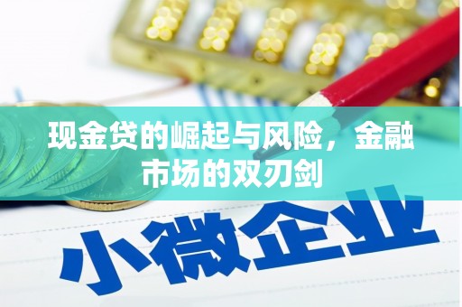 颍泉现金贷的崛起与风险，金融市场的双刃剑