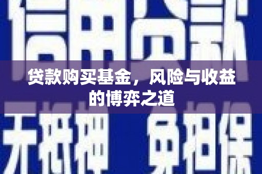 颍泉贷款购买基金，风险与收益的博弈之道