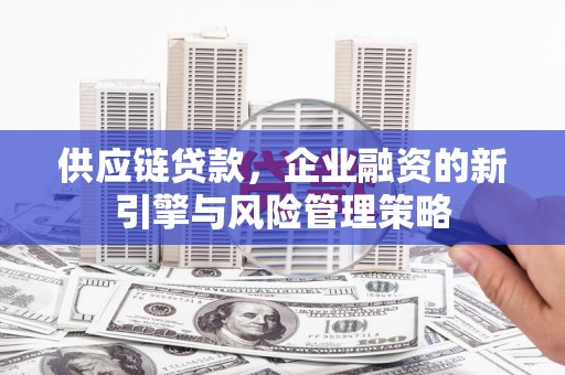 颍泉供应链贷款，企业融资的新引擎与风险管理策略