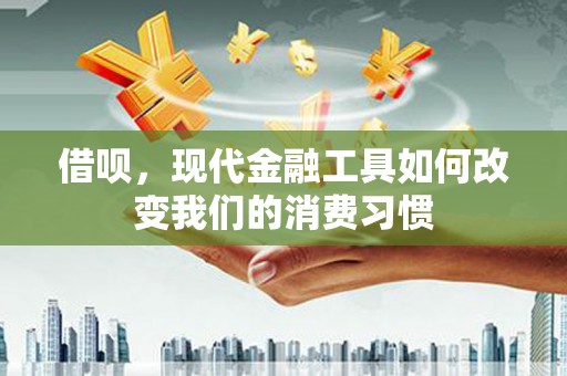 颍泉借呗，现代金融工具如何改变我们的消费习惯