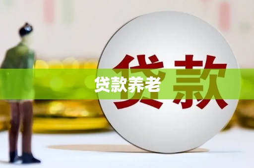 颍泉贷款养老