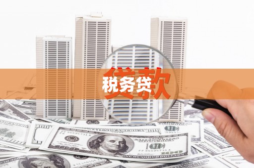 颍泉税务贷