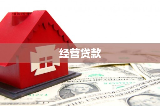 颍泉经营贷款