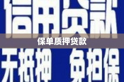 颍泉保单质押贷款