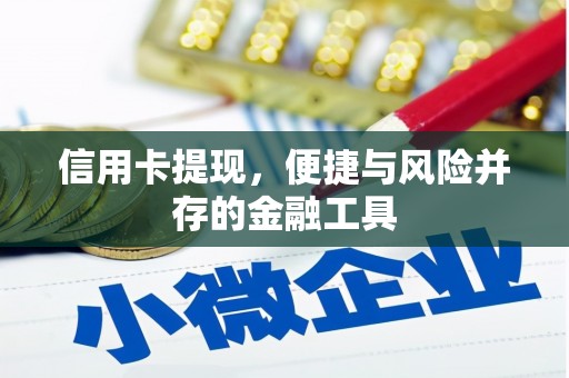 颍泉信用卡提现，便捷与风险并存的金融工具