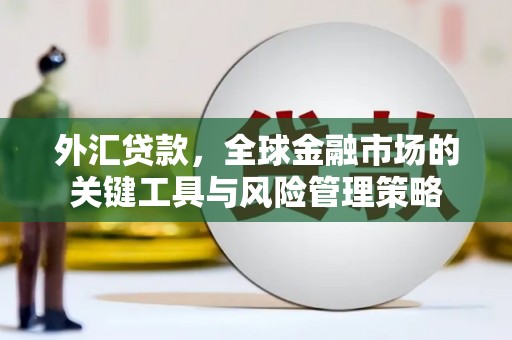 颍泉外汇贷款，全球金融市场的关键工具与风险管理策略