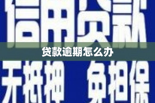 颍泉贷款逾期怎么办