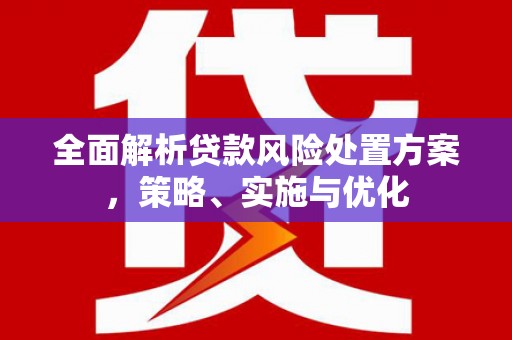 颍泉全面解析贷款风险处置方案，策略、实施与优化