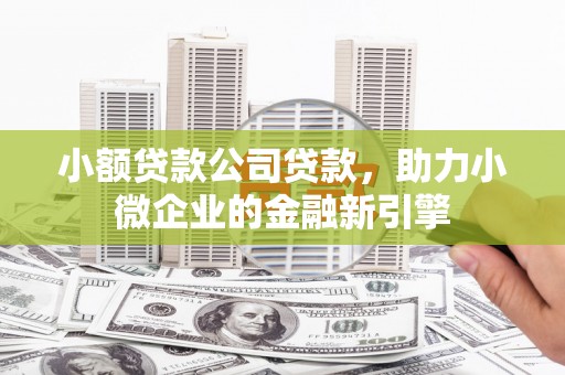 颍泉小额贷款公司贷款，助力小微企业的金融新引擎