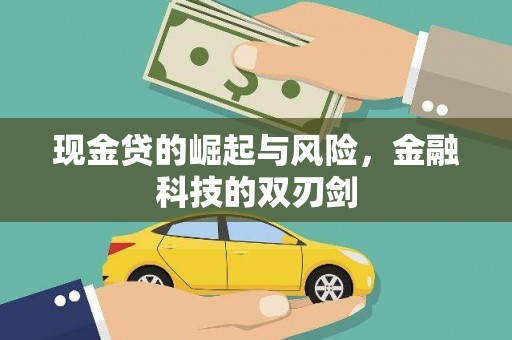 颍泉现金贷的崛起与风险，金融科技的双刃剑
