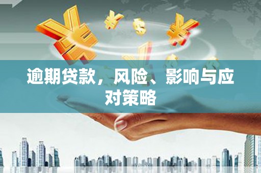 颍泉逾期贷款，风险、影响与应对策略