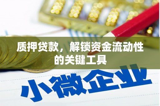 颍泉质押贷款，解锁资金流动性的关键工具