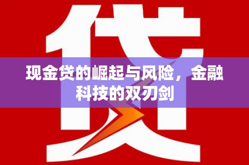 颍泉现金贷的崛起与风险，金融科技的双刃剑