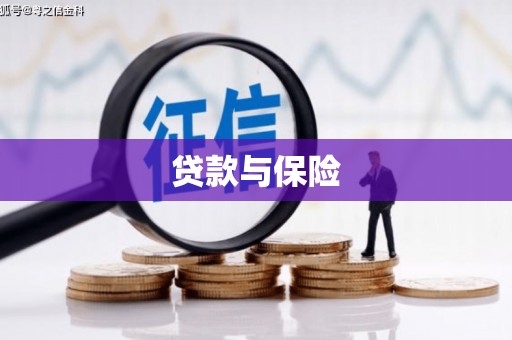 颍泉贷款与保险