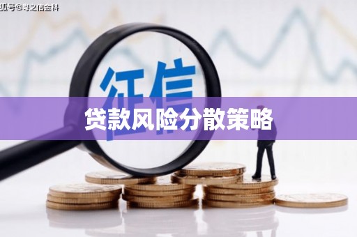 颍泉贷款风险分散策略