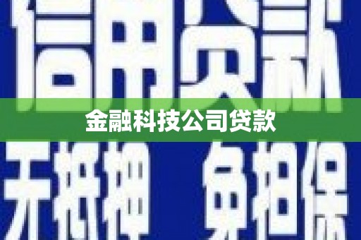 颍泉金融科技公司贷款