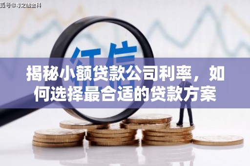 颍泉揭秘小额贷款公司利率，如何选择最合适的贷款方案