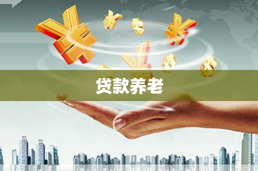 颍泉贷款养老