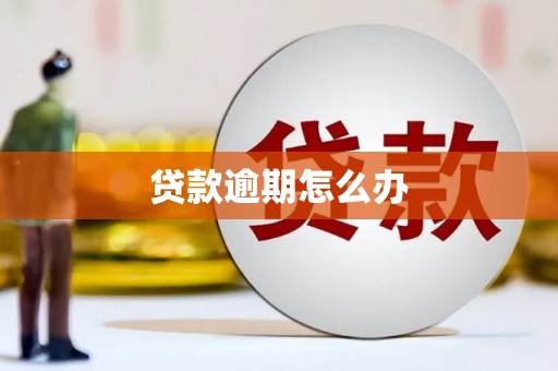 颍泉贷款逾期怎么办